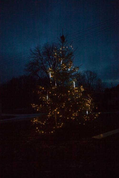 stavění vánočního stromu