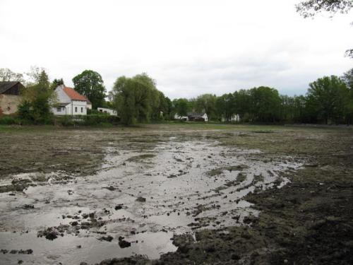 revitalizace rybníku v Hradišťanech 2009 - 2010