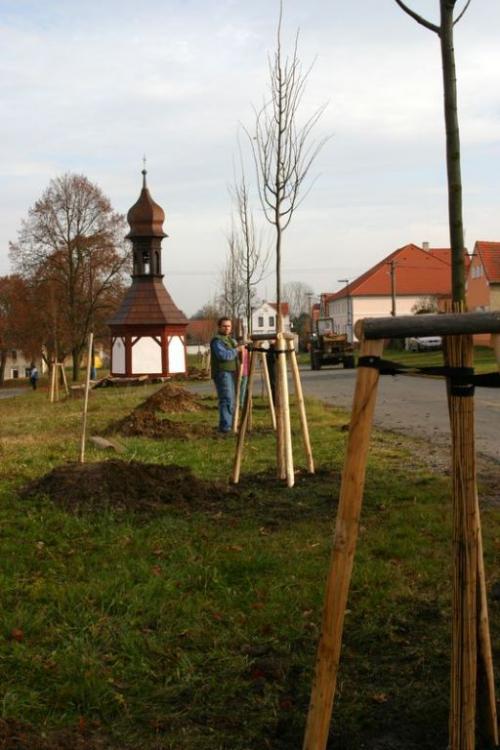 úprava návsi